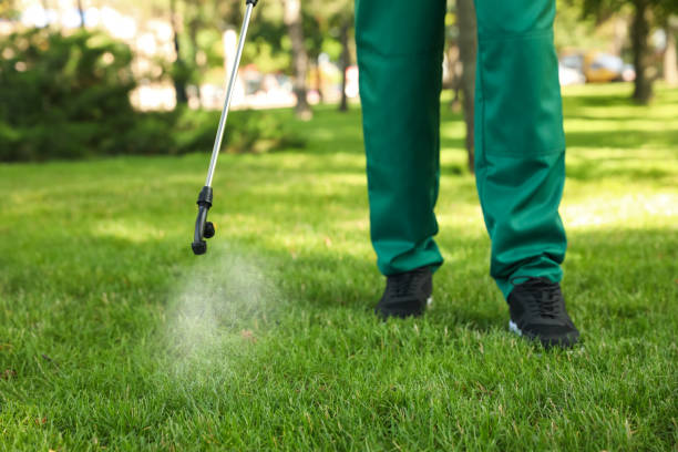 Best Pest Control Treatment  in Lynnwood, WA