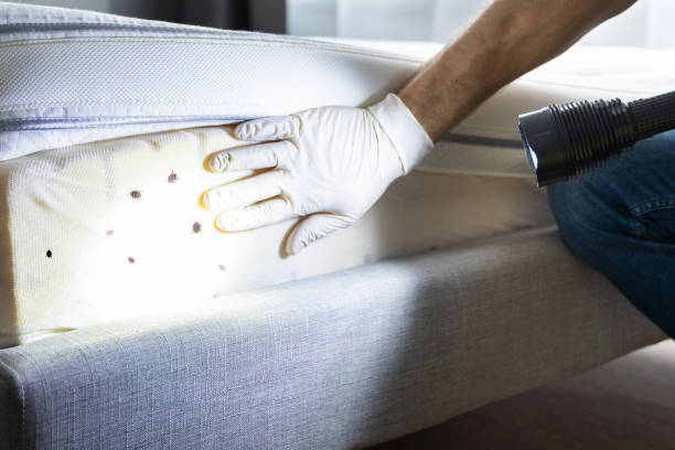 Pest Control for Restaurants in Lynnwood, WA